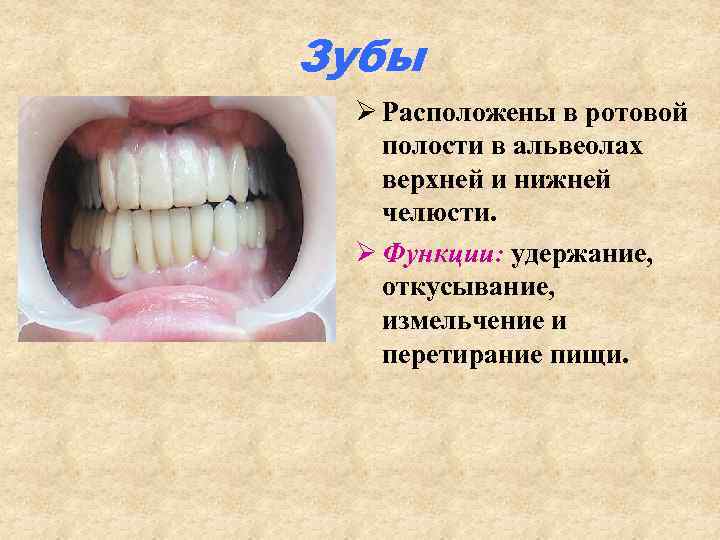 Болезни ротовой полости фото