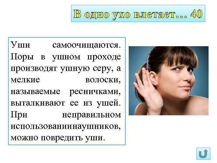 В одно ухо влетает… 40 Уши самоочищаются. Поры в ушном проходе производят ушную серу,