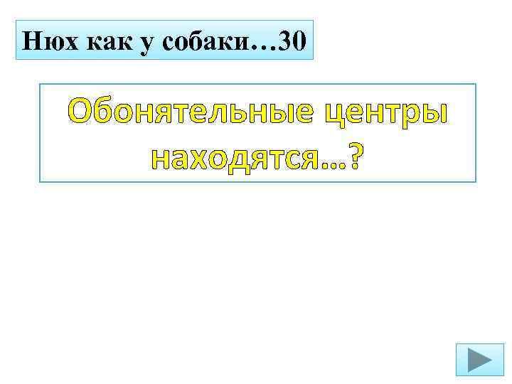 Нюх как у собаки… 30 Обонятельные центры находятся…? 