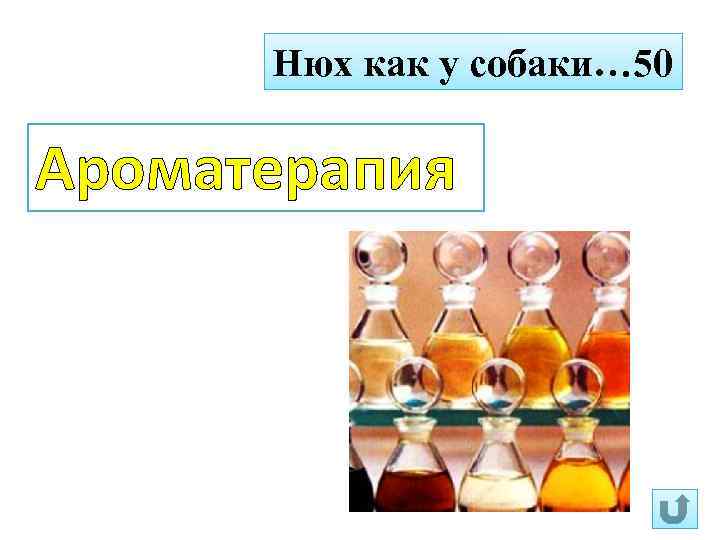 Нюх как у собаки… 50 Ароматерапия 