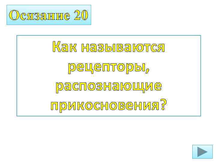 Осязание 20 Как называются рецепторы, распознающие прикосновения? 