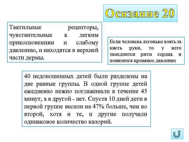 Осязание 20 Тактильные рецепторы, чувствительные к легким прикосновениям и слабому давлению, и находятся в