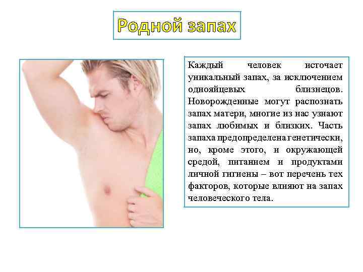 Родной запах Каждый человек источает уникальный запах, за исключением однояйцевых близнецов. Новорожденные могут распознать