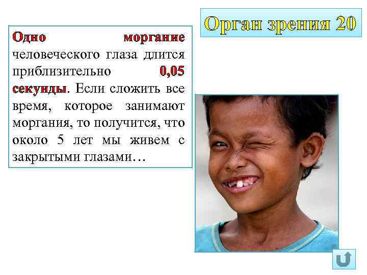 Одно моргание человеческого глаза длится приблизительно 0, 05 секунды. Если сложить все время, которое