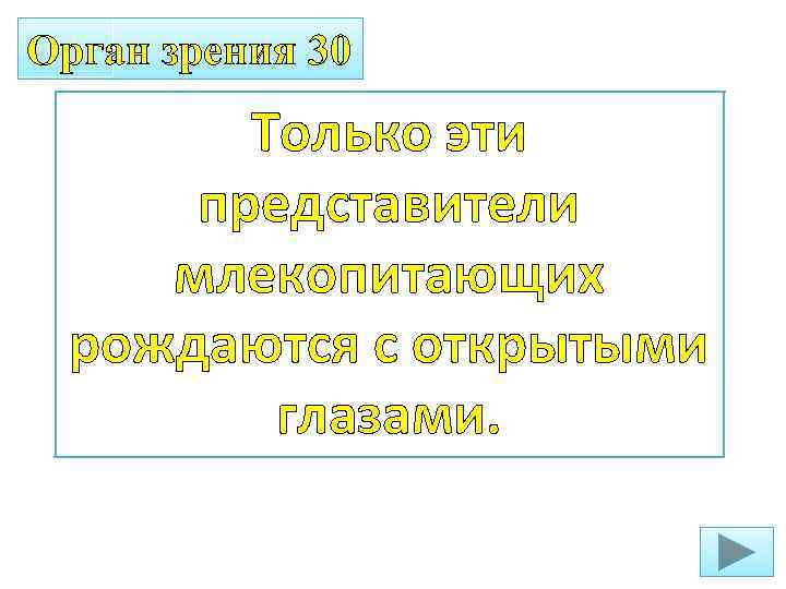 Орган зрения 30 Только эти представители млекопитающих рождаются с открытыми глазами. 