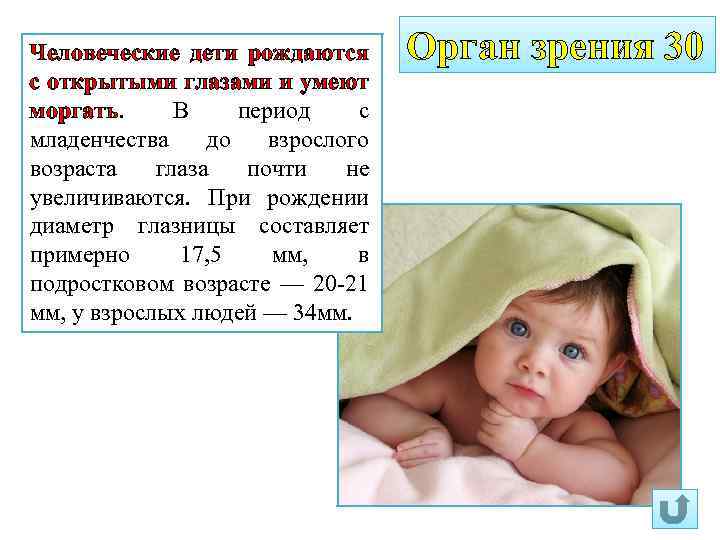 Человеческие дети рождаются с открытыми глазами и умеют моргать. В период с младенчества до