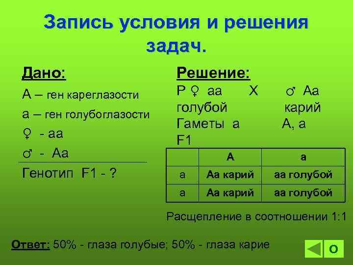 Запись условия и решения задач. Дано: А – ген кареглазости а – ген голубоглазости