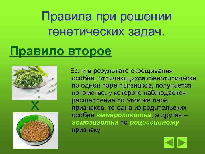 Правила при решении генетических задач. Правило второе х Если в результате скрещивания особей, отличающихся