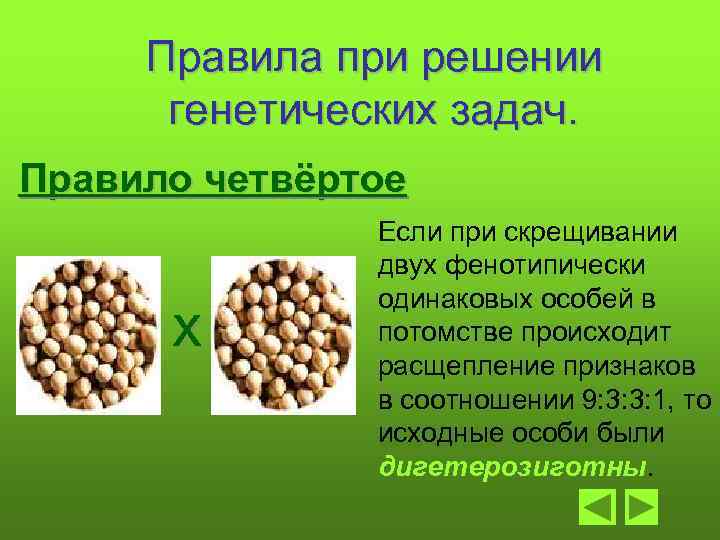 Правила при решении генетических задач. Правило четвёртое х Если при скрещивании двух фенотипически одинаковых
