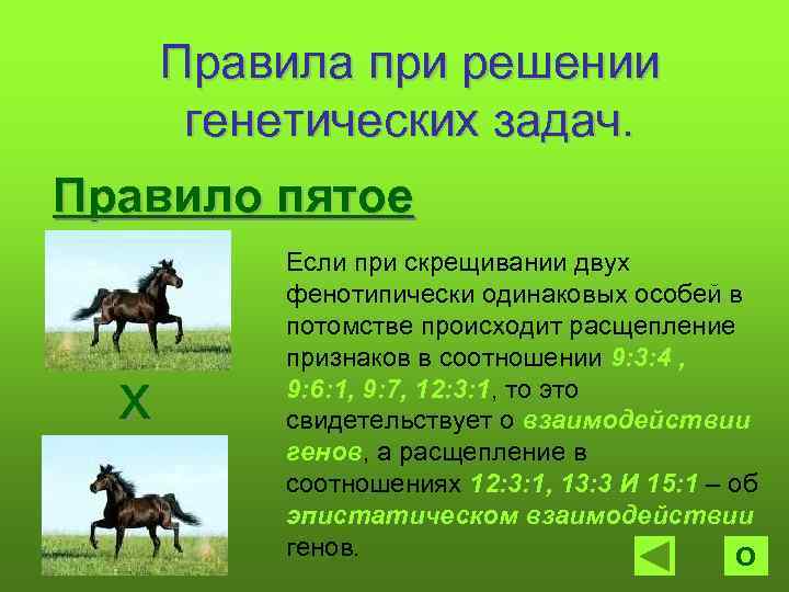 Правила при решении генетических задач. Правило пятое х Если при скрещивании двух фенотипически одинаковых