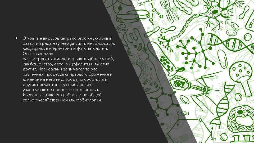  • Открытие вирусов сыграло огромную роль в развитии ряда научных дисциплин: биологии, медицины,