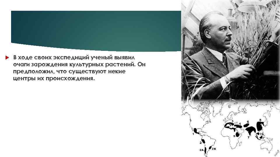  В ходе своих экспедиций ученый выявил очаги зарождения культурных растений. Он предположил, что