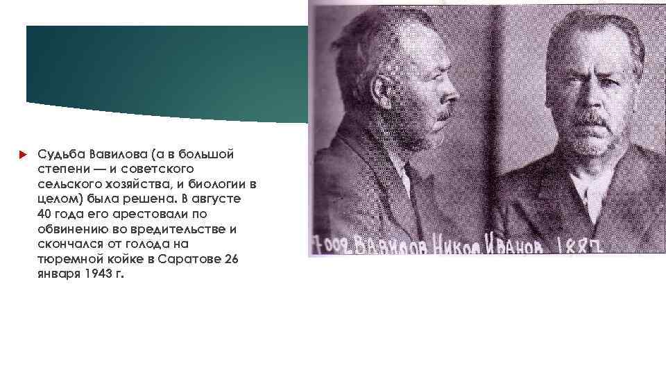  Судьба Вавилова (а в большой степени — и советского сельского хозяйства, и биологии