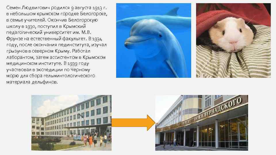 Семен Людвигович родился 9 августа 1913 г. в небольшом крымском городке Белогорске, в семье