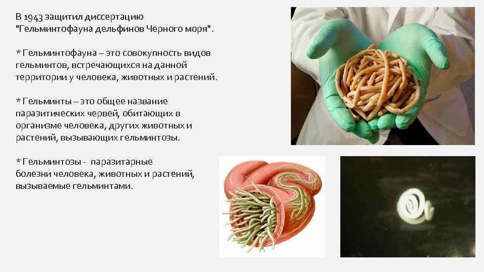 В 1943 защитил диссертацию 