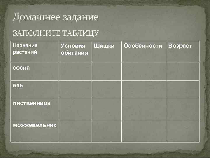 Домашнее задание ЗАПОЛНИТЕ ТАБЛИЦУ Название растений сосна ель лиственница можжевельник Условия Шишки обитания Особенности