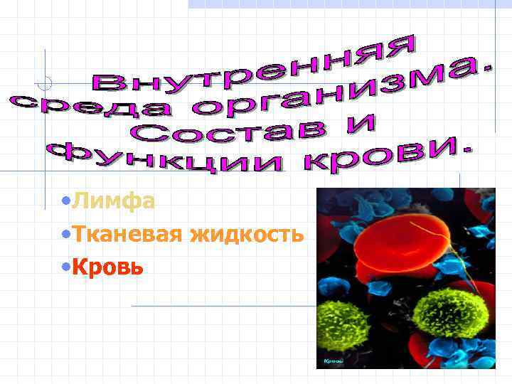  • Лимфа • Тканевая жидкость • Кровь 
