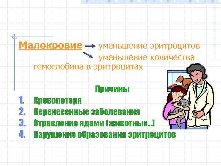 Малокровие уменьшение эритроцитов уменьшение количества гемоглобина в эритроцитах 1. 2. 3. 4. Причины Кровопотеря