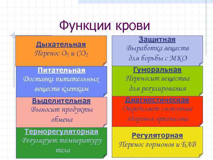 Функции крови Дыхательная Защитная Перенос О 2 и СО 2 Выработка веществ для борьбы