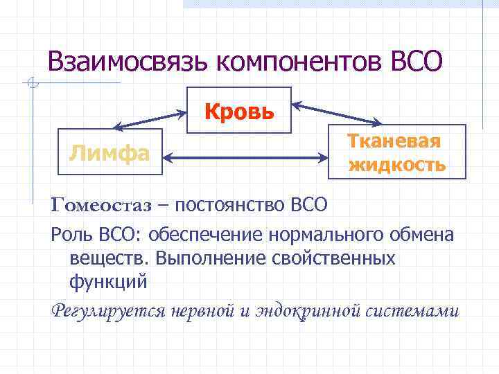 Взаимосвязь компонентов ВСО Кровь Лимфа Тканевая жидкость Гомеостаз – постоянство ВСО Роль ВСО: обеспечение