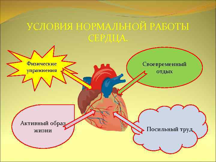 УСЛОВИЯ НОРМАЛЬНОЙ РАБОТЫ СЕРДЦА. Физические упражнения Активный образ жизни Своевременный отдых Посильный труд 