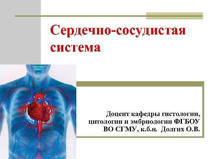 Сердечно-сосудистая система Доцент кафедры гистологии, цитологии и эмбриологии ФГБОУ ВО СГМУ, к. б. н.