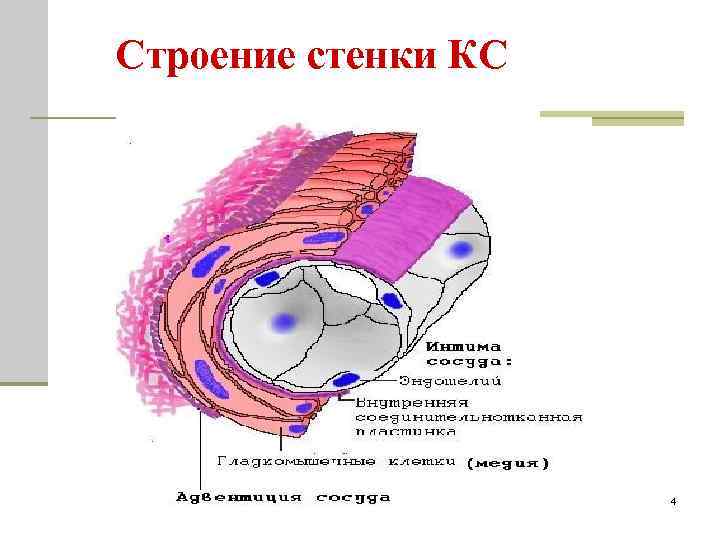 Строение стенки КС 4 