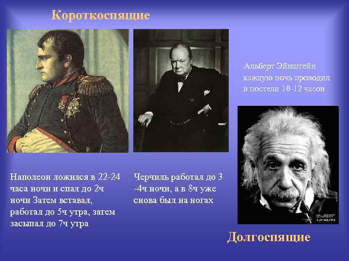 Короткоспящие Альберт Эйнштейн каждую ночь проводил в постели 10 -12 часов Наполеон ложился в