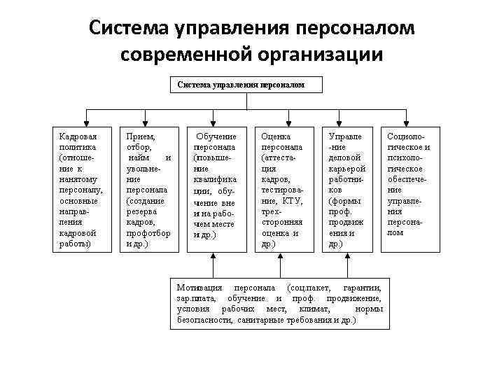 Система управления персоналом современной организации 