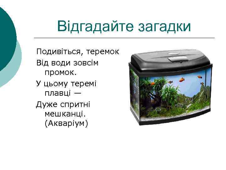 Відгадайте загадки Подивіться, теремок Від води зовсім промок. У цьому теремі плавці — Дуже