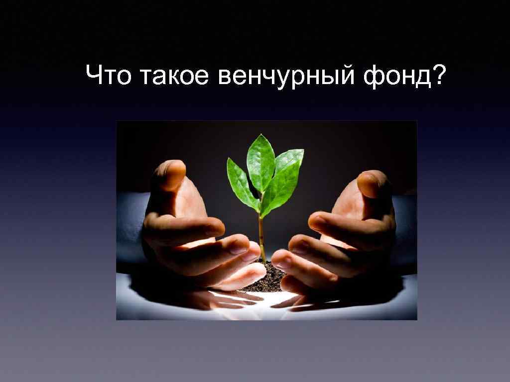 Что такое венчурный фонд? 