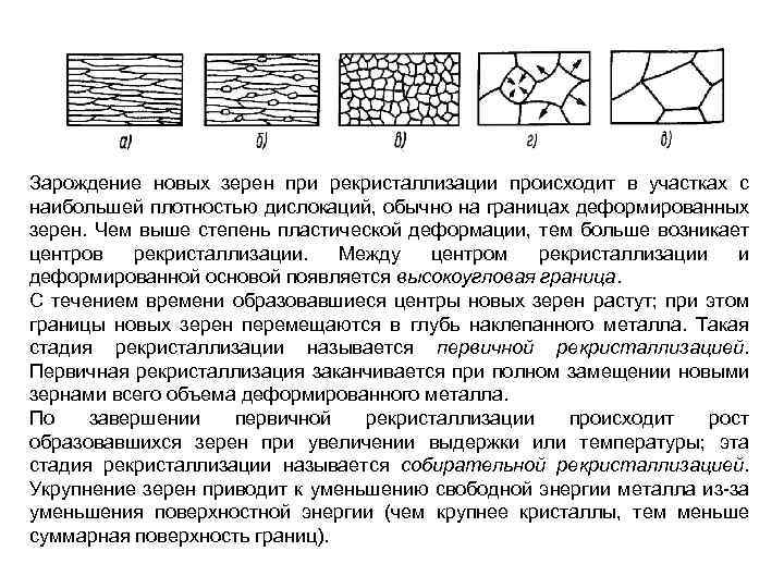 Зарождение новых зерен при рекристаллизации происходит в участках с наибольшей плотностью дислокаций, обычно на