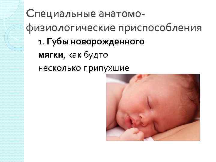 Cпециальные анатомофизиологические приспособления 1. Губы новорожденного мягки, как будто несколько припухшие 