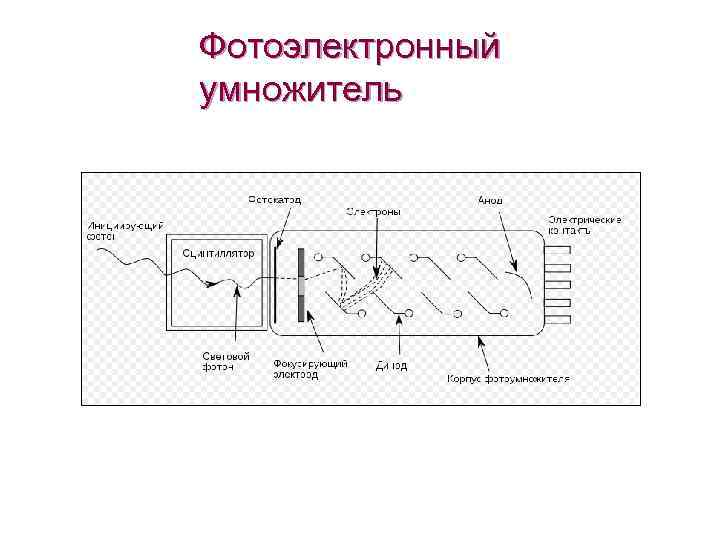 Фотоэлектронный умножитель 