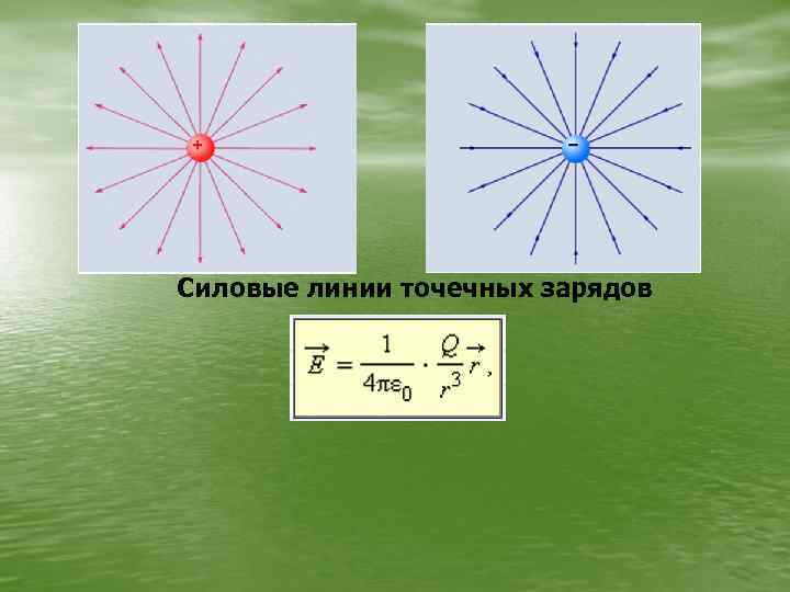 Силовые линии точечных зарядов 