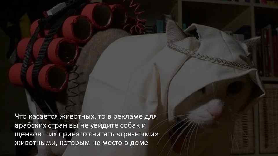 Что касается животных, то в рекламе для арабских стран вы не увидите собак и