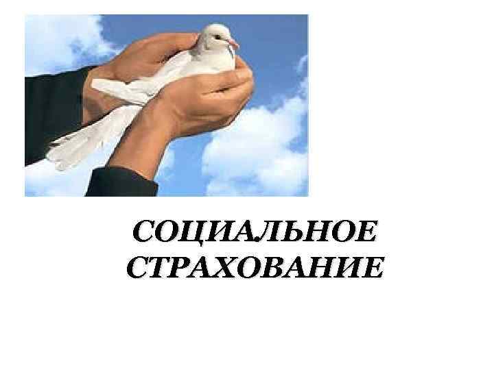 СОЦИАЛЬНОЕ СТРАХОВАНИЕ 