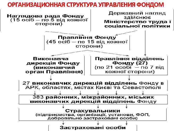ОРГАНИЗАЦИОННАЯ СТРУКТУРА УПРАВЛЕНИЯ ФОНДОМ 