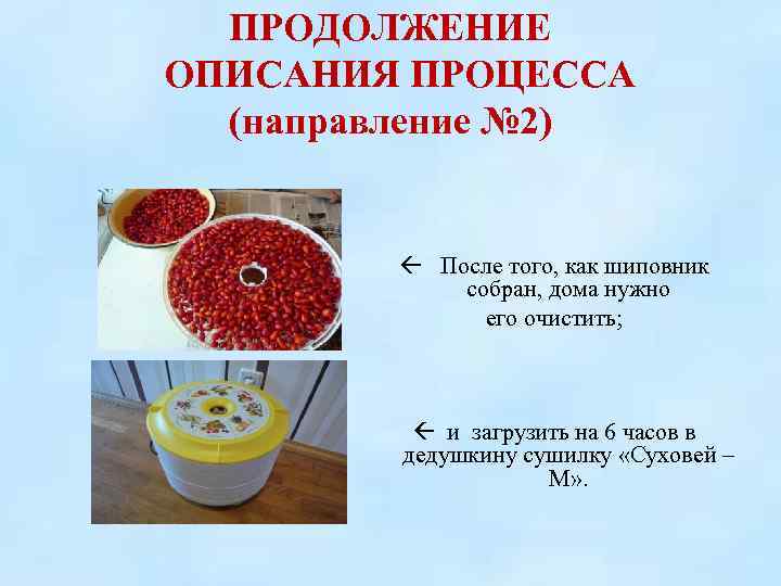 ПРОДОЛЖЕНИЕ ОПИСАНИЯ ПРОЦЕССА (направление № 2) После того, как шиповник собран, дома нужно его