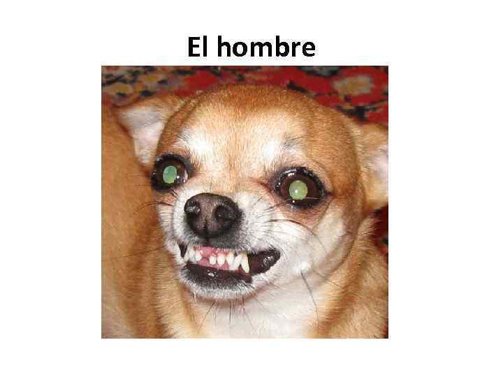 El hombre 