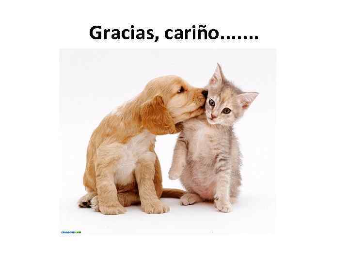 Gracias, cariño. . . . 