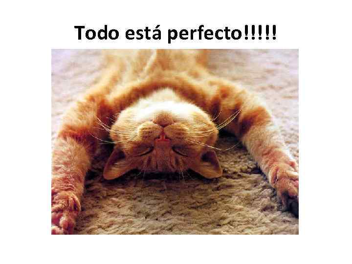 Todo está perfecto!!!!! 