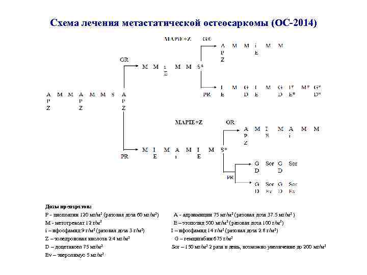 Схема лечения метастатической остеосаркомы (ОС-2014) Дозы препаратов: Р - цисплатин 120 мг/м 2 (разовая