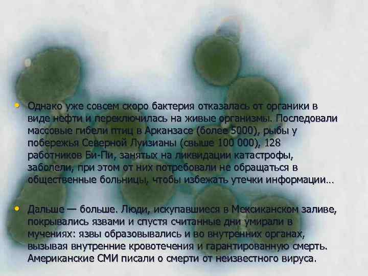  • Однако уже совсем скоро бактерия отказалась от органики в виде нефти и