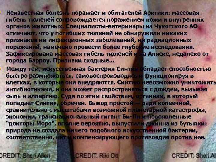  • Неизвестная болезнь поражает и обитателей Арктики: массовая • гибель тюленей сопровождается поражением