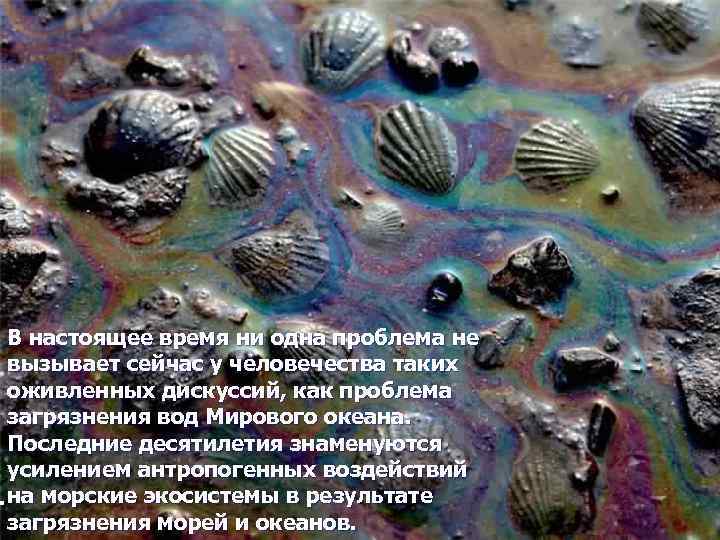 В настоящее время ни одна проблема не вызывает сейчас у человечества таких оживленных дискуссий,