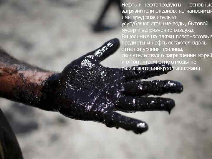 Нефть и нефтепродукты — основные загрязнители океанов, но наносимый ими вред значительно усугубляют сточные