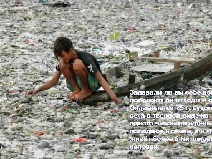 Задавали ли вы себе воп попадают ли отходы в о Оказывается 75 г. сухого