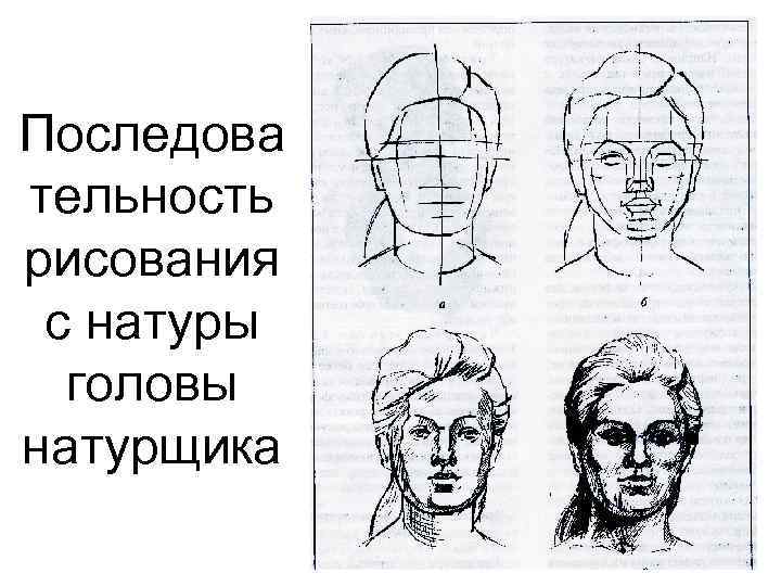 Последова тельность рисования с натуры головы натурщика 