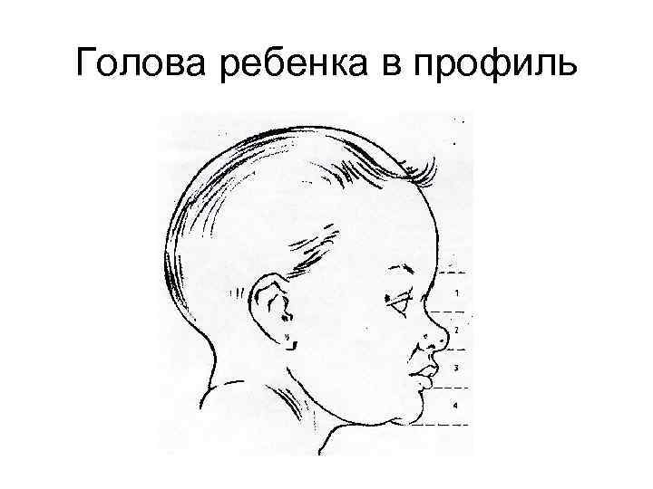 Голова ребенка в профиль 